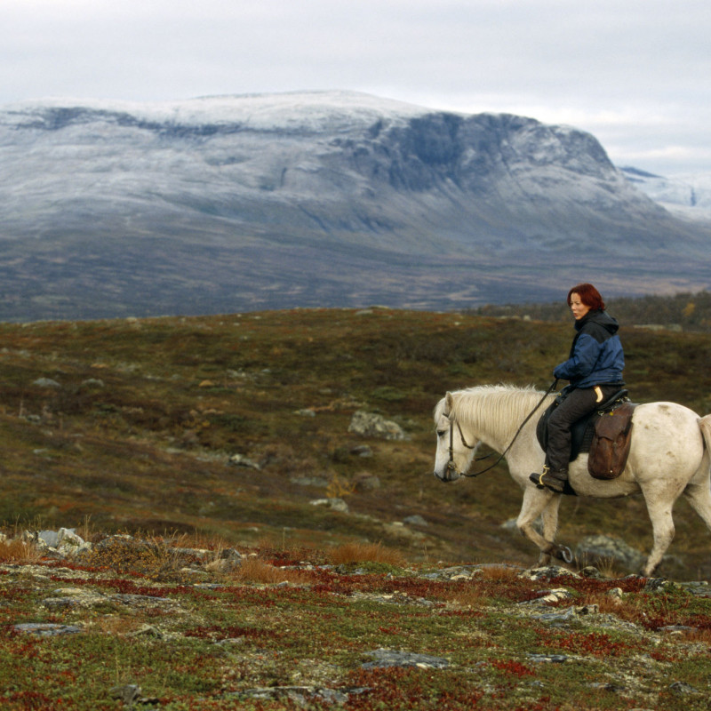 Svezia informazioni e idee di viaggio Lonely